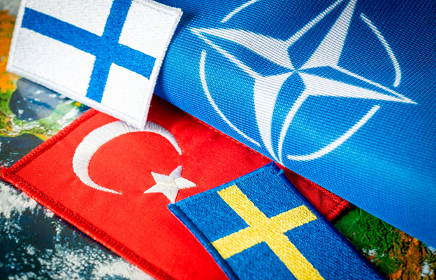 В Будапеште провалили парламентское голосование за принятие Швеции в НАТО