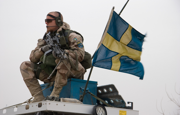 МИД Швеции одобрил вербовку соотечественников посольством Украины
