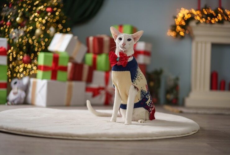 &laquo;Пушистая зима в Большой Стране&raquo;: фольклор, любовь к животным и новогодняя магия на выставке в мультимедийном пространстве