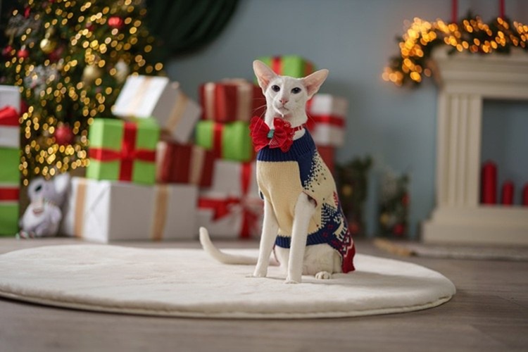 &laquo;Пушистая зима в Большой Стране&raquo;: фольклор, любовь к животным и новогодняя магия на выставке в мультимедийном пространстве